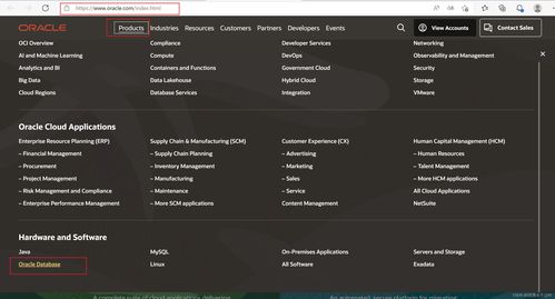 linux安装oracle19c,linux安装oracle19c图形界面不出来