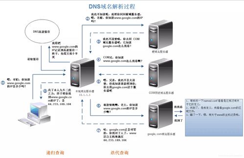 国外免费网站域名服务器查询,国外免费网站域名服务器查询软件