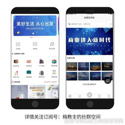 站长工具app下载,站长常用工具下载