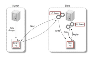 mysql数据库的功能,mysql数据库的功能介绍