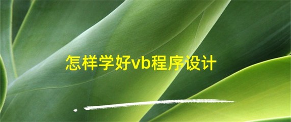 怎样学好vb程序设计,怎样学好vb程序设计的方法