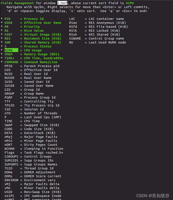 linux输入命令,Linux输入命令后反应很慢