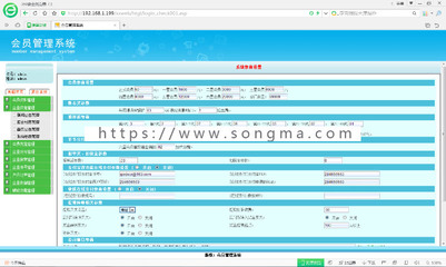 整站系统,整站优化方案快速上首页