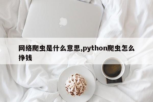 网络爬虫是什么意思,python爬虫怎么挣钱