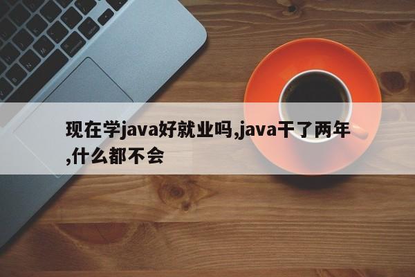 现在学java好就业吗,java干了两年,什么都不会