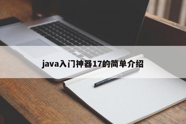 java入门神器17的简单介绍