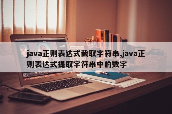 java正则表达式截取字符串,java正则表达式提取字符串中的数字