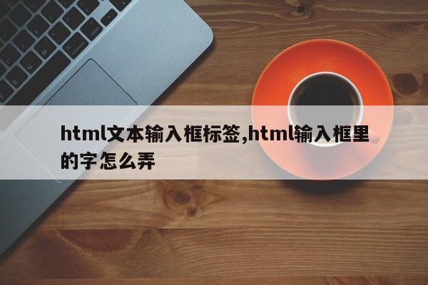 html文本输入框标签,html输入框里的字怎么弄