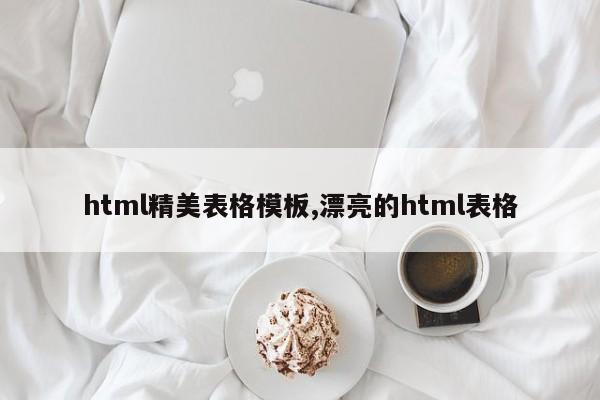 html精美表格模板,漂亮的html表格